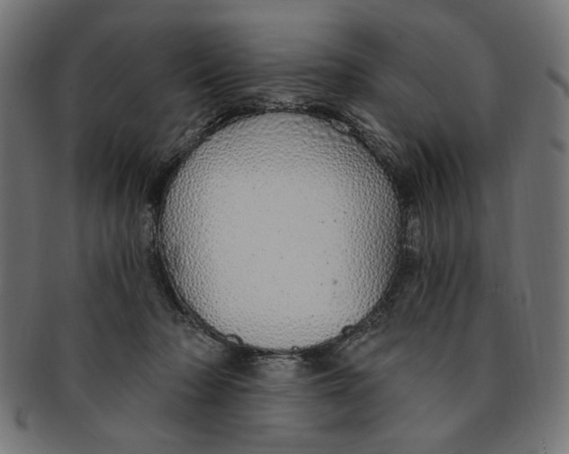 X0000091190318200709061019