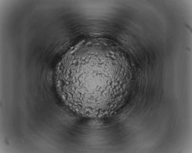 X0000091190319200709061019