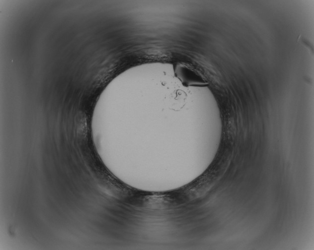 X0000091190320200709061019