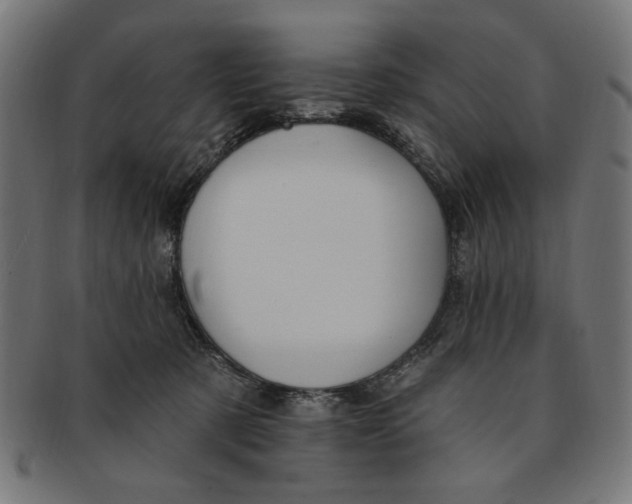 X0000091190321200709061019