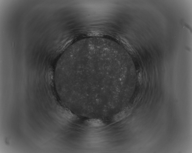 X0000091190322200709061019