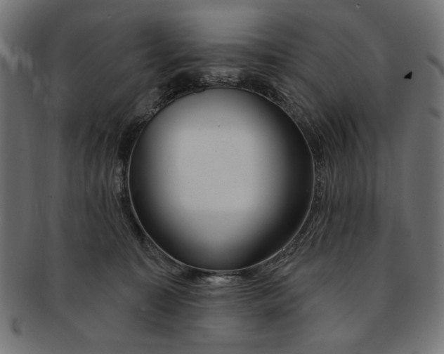 X0000091190323200709061019