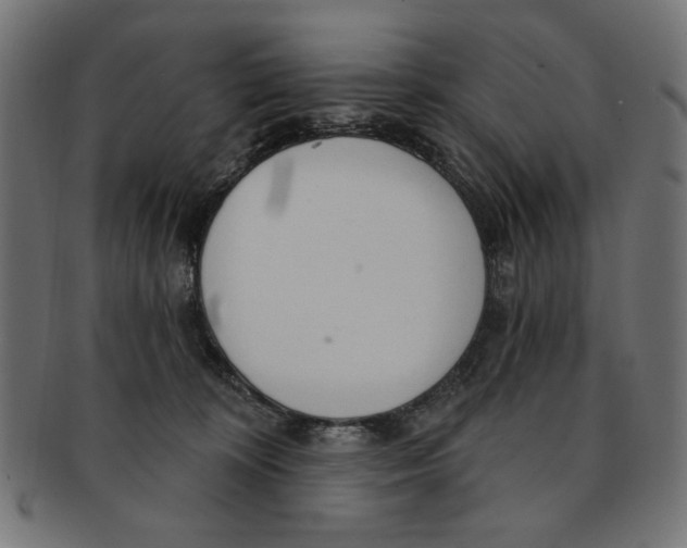 X0000091190324200709061019