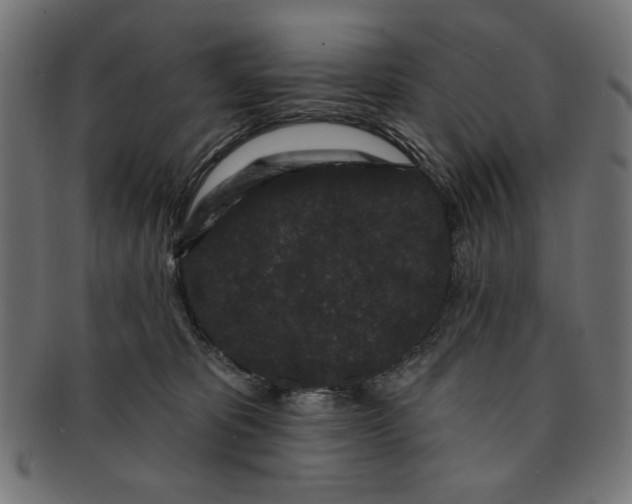 X0000091190325200709061019