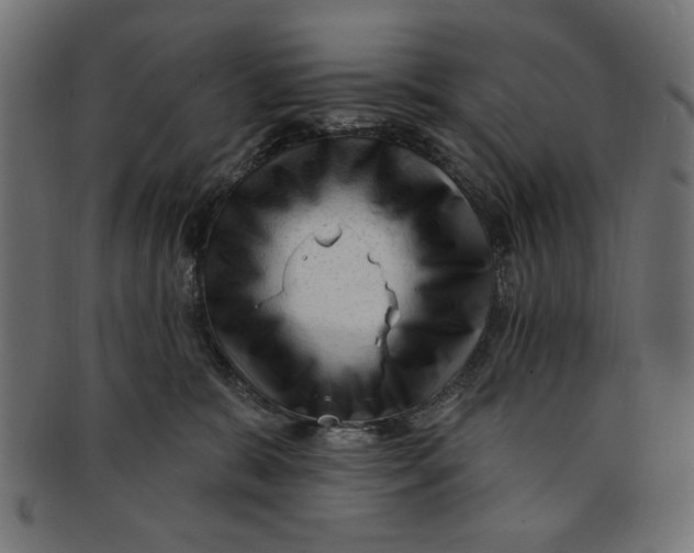 X0000091190327200709061019