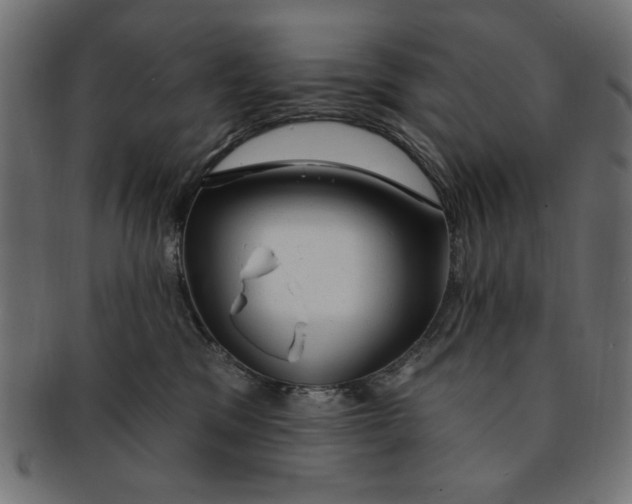 X0000091190329200709061019