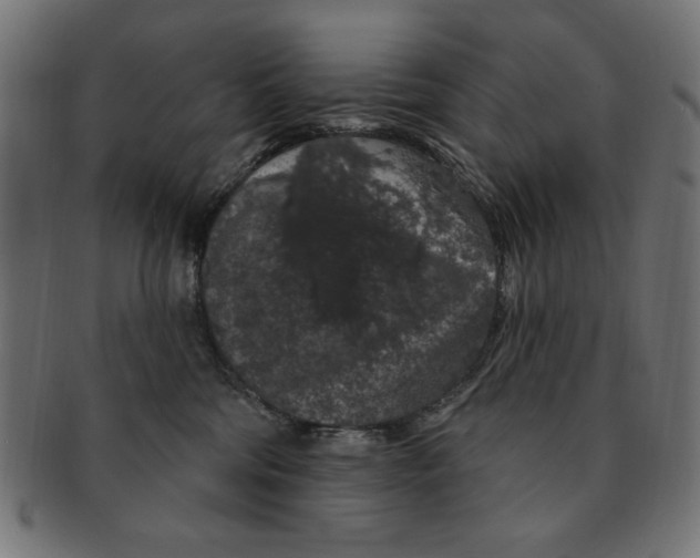 X0000091190330200709061019