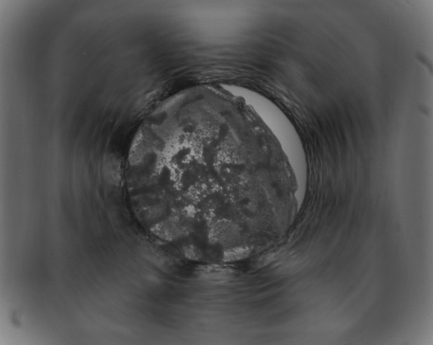 X0000091190331200709061019