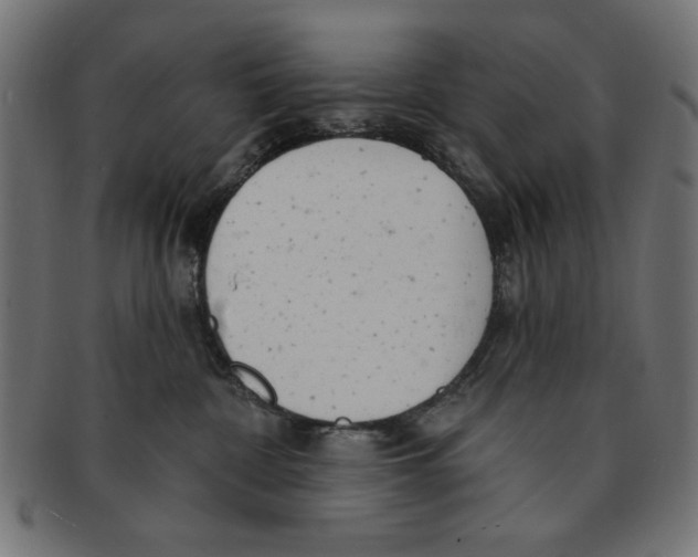 X0000091190332200709061019