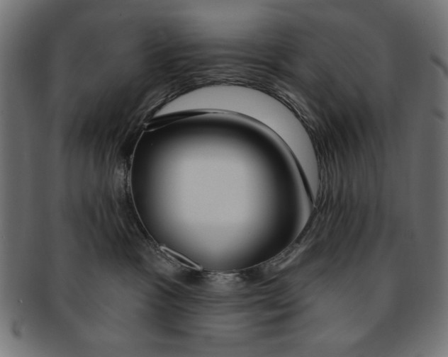 X0000091190333200709061019