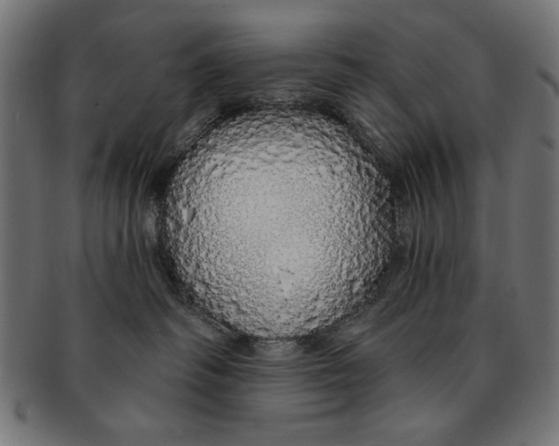 X0000091190334200709061019