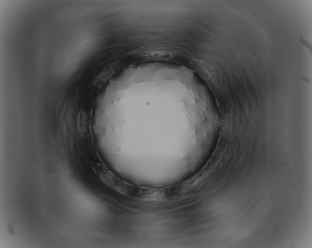 X0000091190335200709061019