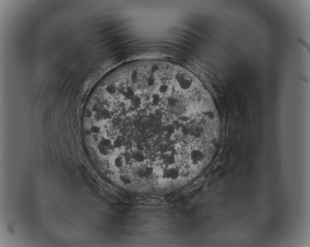 X0000091190337200709061018