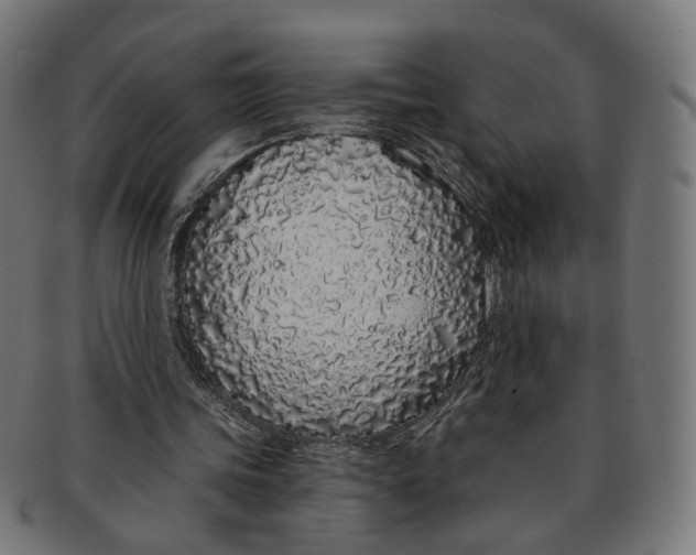 X0000091190339200709061018