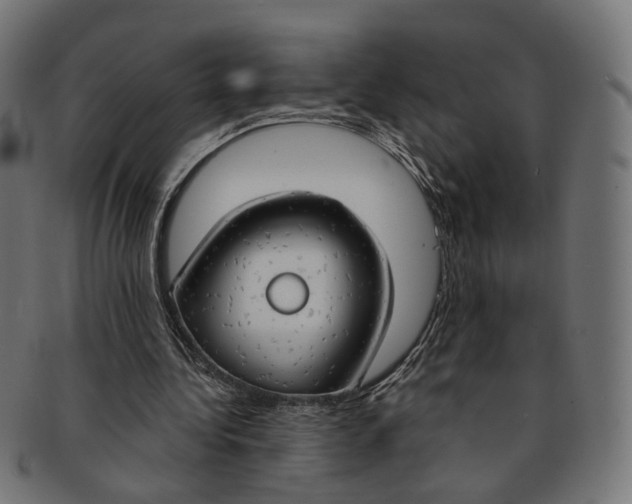 X0000091190340200709061018