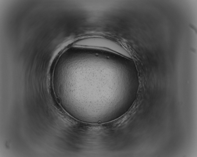 X0000091190342200709061018