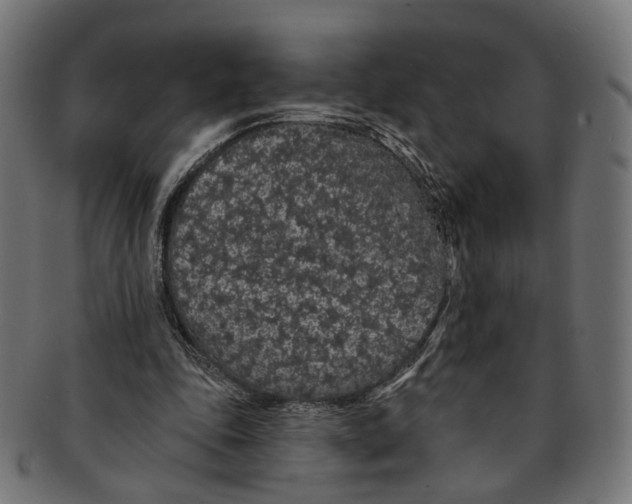 X0000091190343200709061018