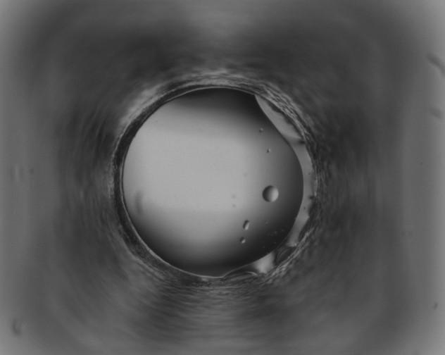 X0000091190344200709061018