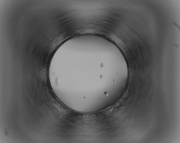 X0000091190345200709061018