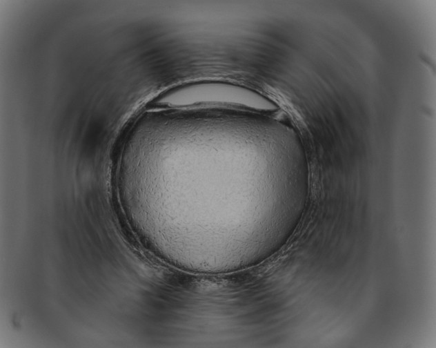 X0000091190346200709061018