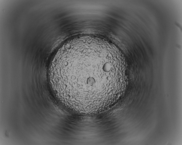 X0000091190347200709061018