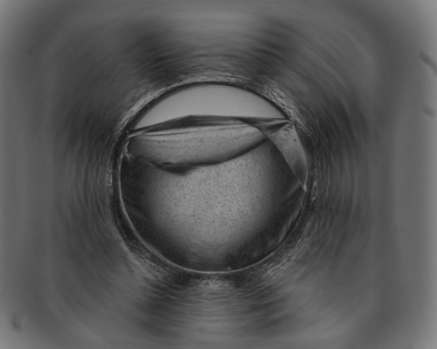 X0000091190348200709061018