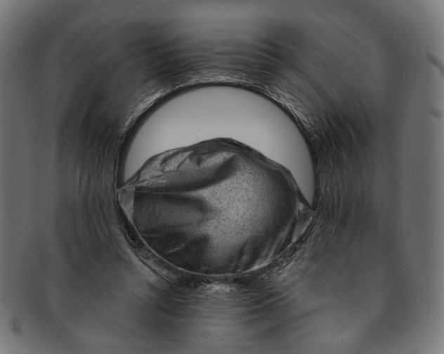 X0000091190352200709061018