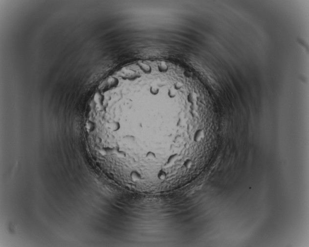 X0000091190353200709061018