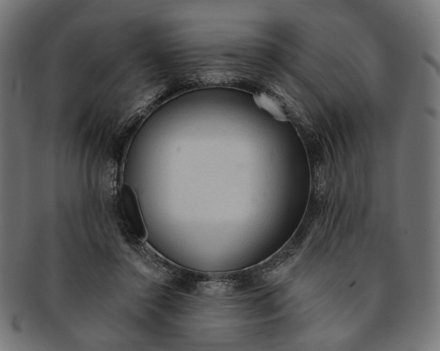 X0000091190356200709061018