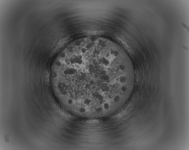 X0000091190357200709061018