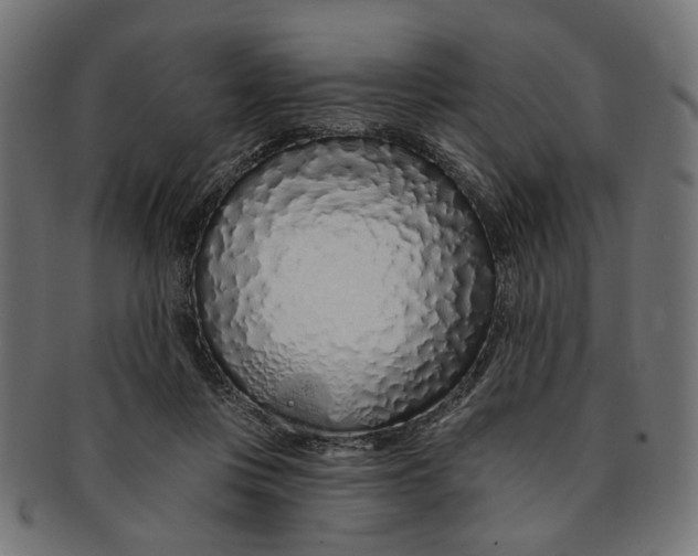 X0000091190359200709061018