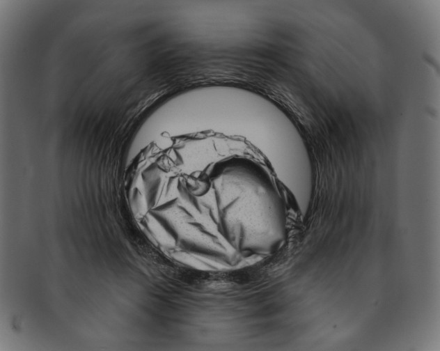 X0000091190360200709061018