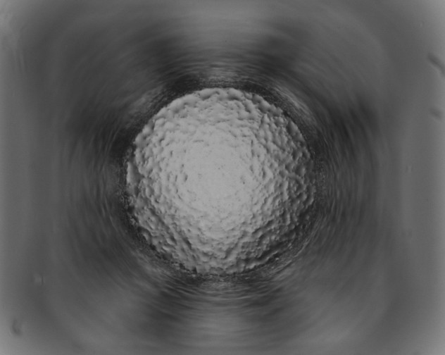 X0000091190361200709061018