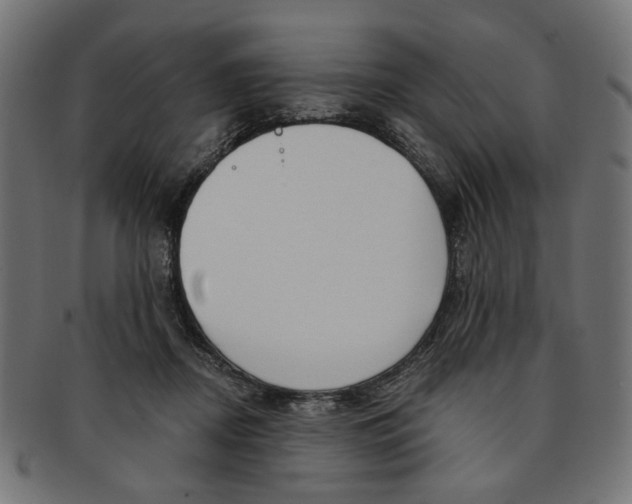 X0000091190362200709061018