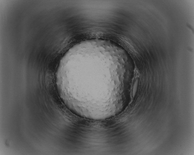 X0000091190363200709061018