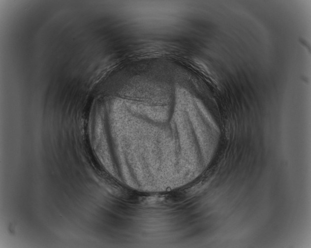 X0000091190366200709061018