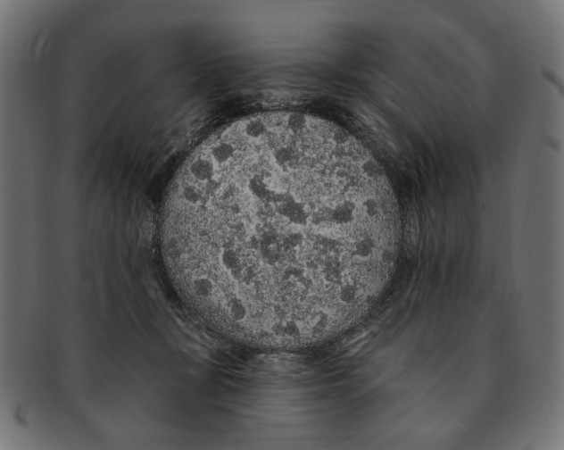 X0000091190367200709061018