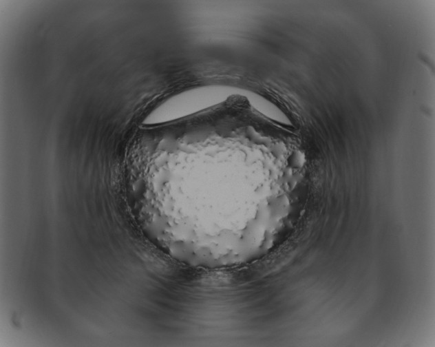 X0000091190369200709061018