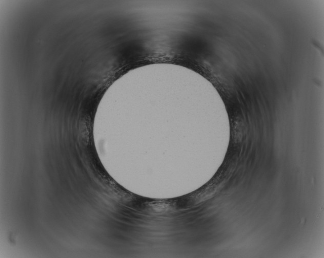 X0000091190370200709061018