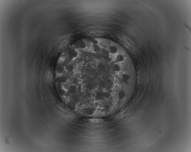 X0000091190371200709061018