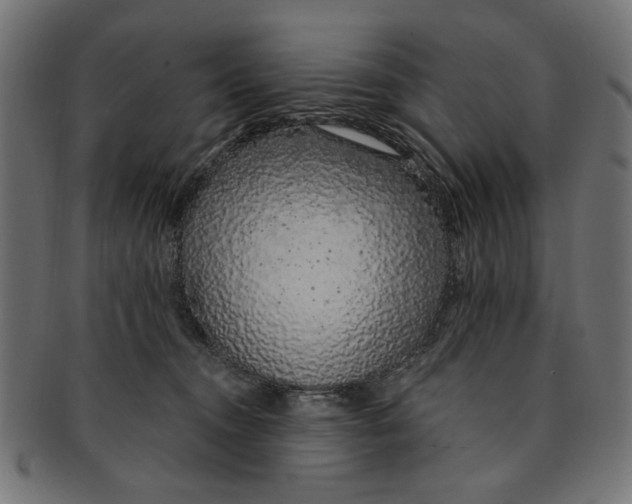 X0000091190372200709061019