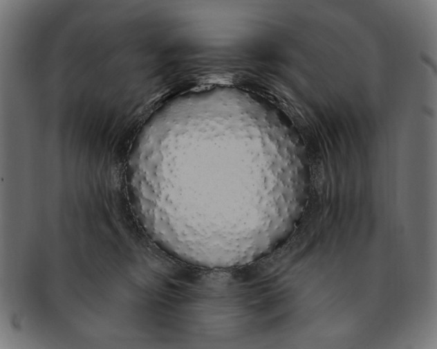 X0000091190374200709061019