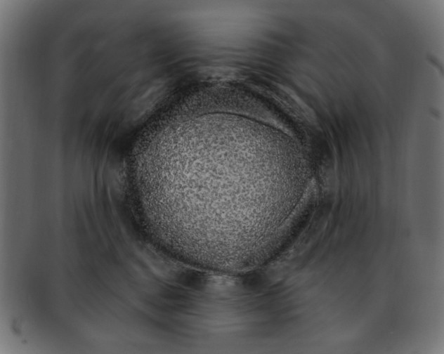 X0000091190376200709061019