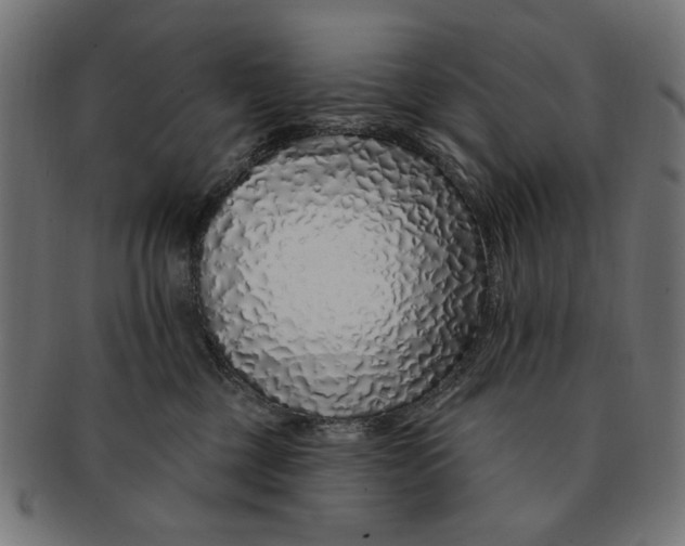 X0000091190377200709061019