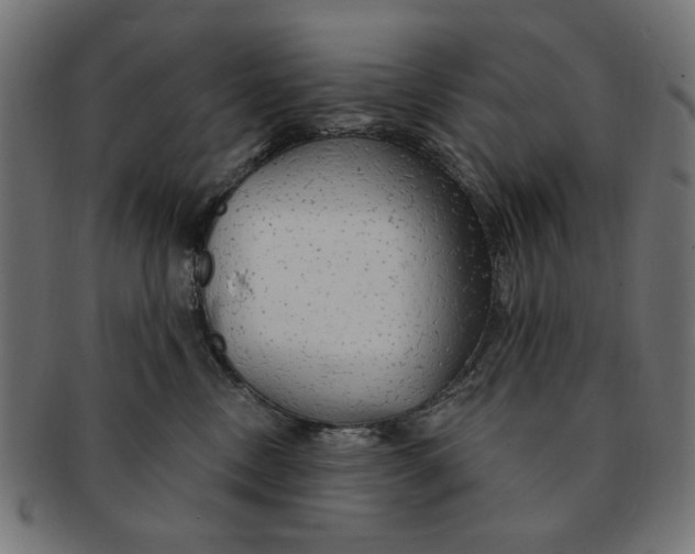 X0000091190378200709061019