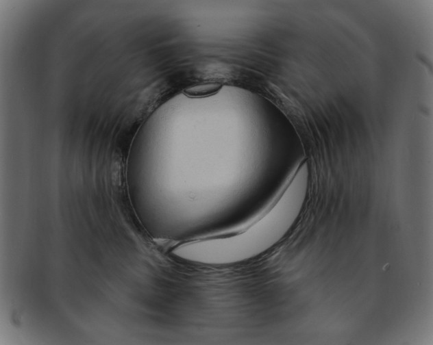 X0000091190379200709061019