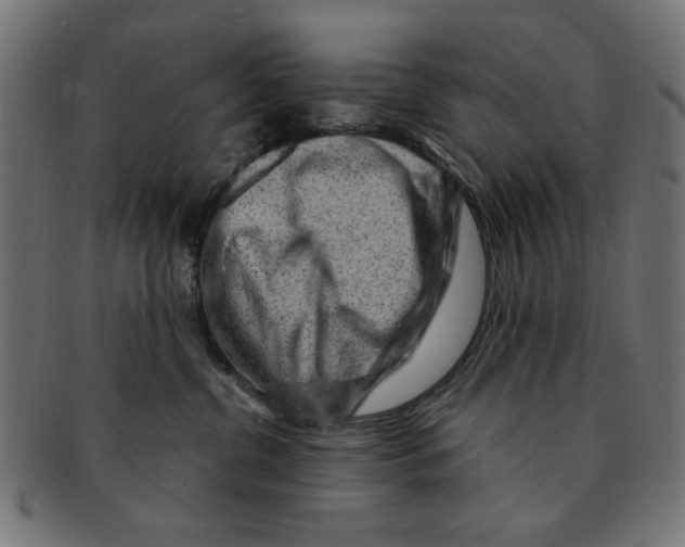 X0000091190380200709061019