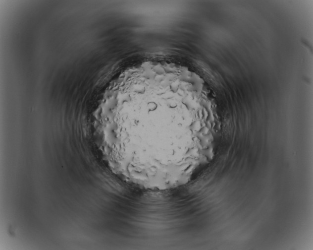 X0000091190381200709061019