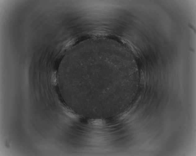 X0000091190383200709061019