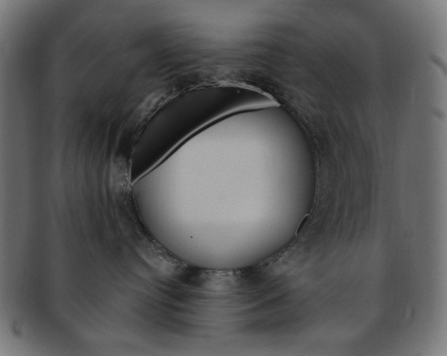 X0000091190384200709061019